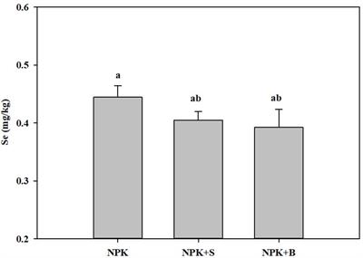 The interaction between selenium and other elements in soil and rice roots shaped by straw and straw biochar regulated the enrichment of selenium in rice grain